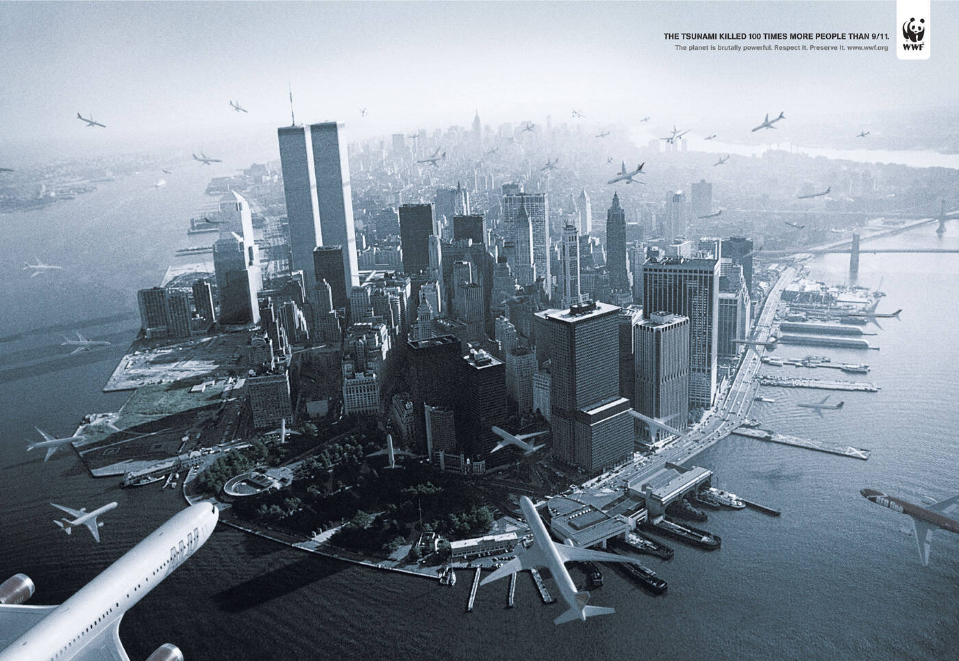etw2wo2gxpsbwy1z037m95e9gw8s.jpeg