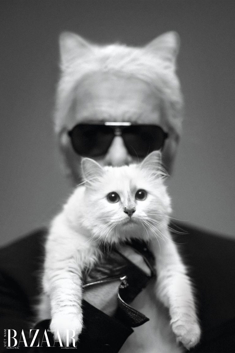 pet-coded-marketing-tu-mascot-pet-influencer-den-ip-collaboration-thuong-hieu-dang-dung-thu-cung-nhu-the-nao-choupette-2.jpg
