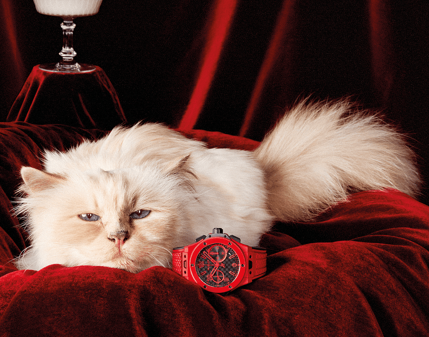 pet-coded-marketing-tu-mascot-pet-influencer-den-ip-collaboration-thuong-hieu-dang-dung-thu-cung-nhu-the-nao-choupette-3 (1).png