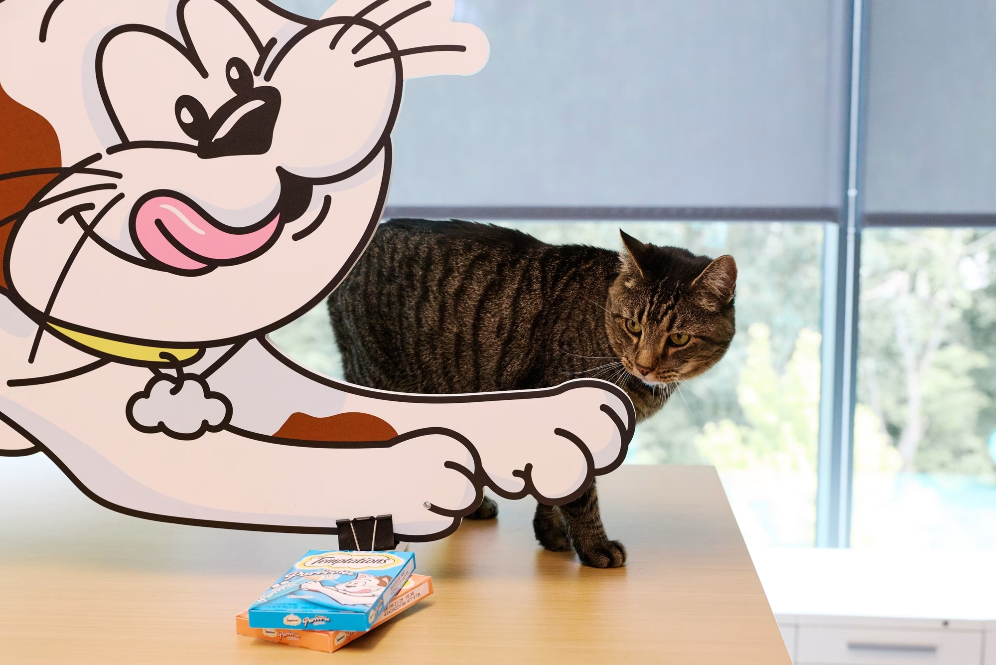 pet-coded-marketing-tu-mascot-pet-influencer-den-ip-collaboration-thuong-hieu-dang-dung-thu-cung-nhu (2).jpg