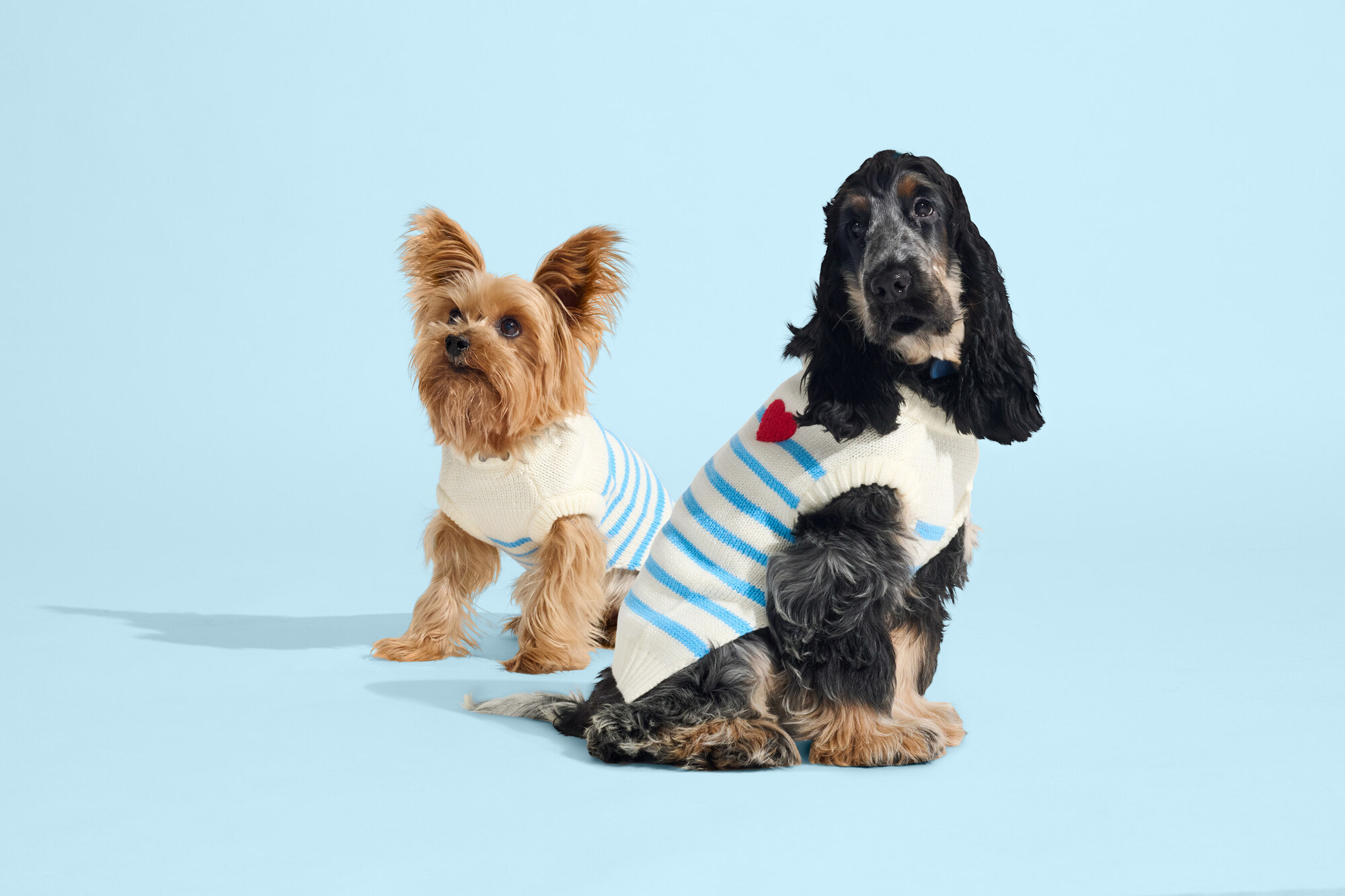 pet-coded-marketing-tu-mascot-pet-influencer-den-ip-collaboration-thuong-hieu-dang-dung-thu-cung-nhu-the-nao-petco-2 (1).jpg