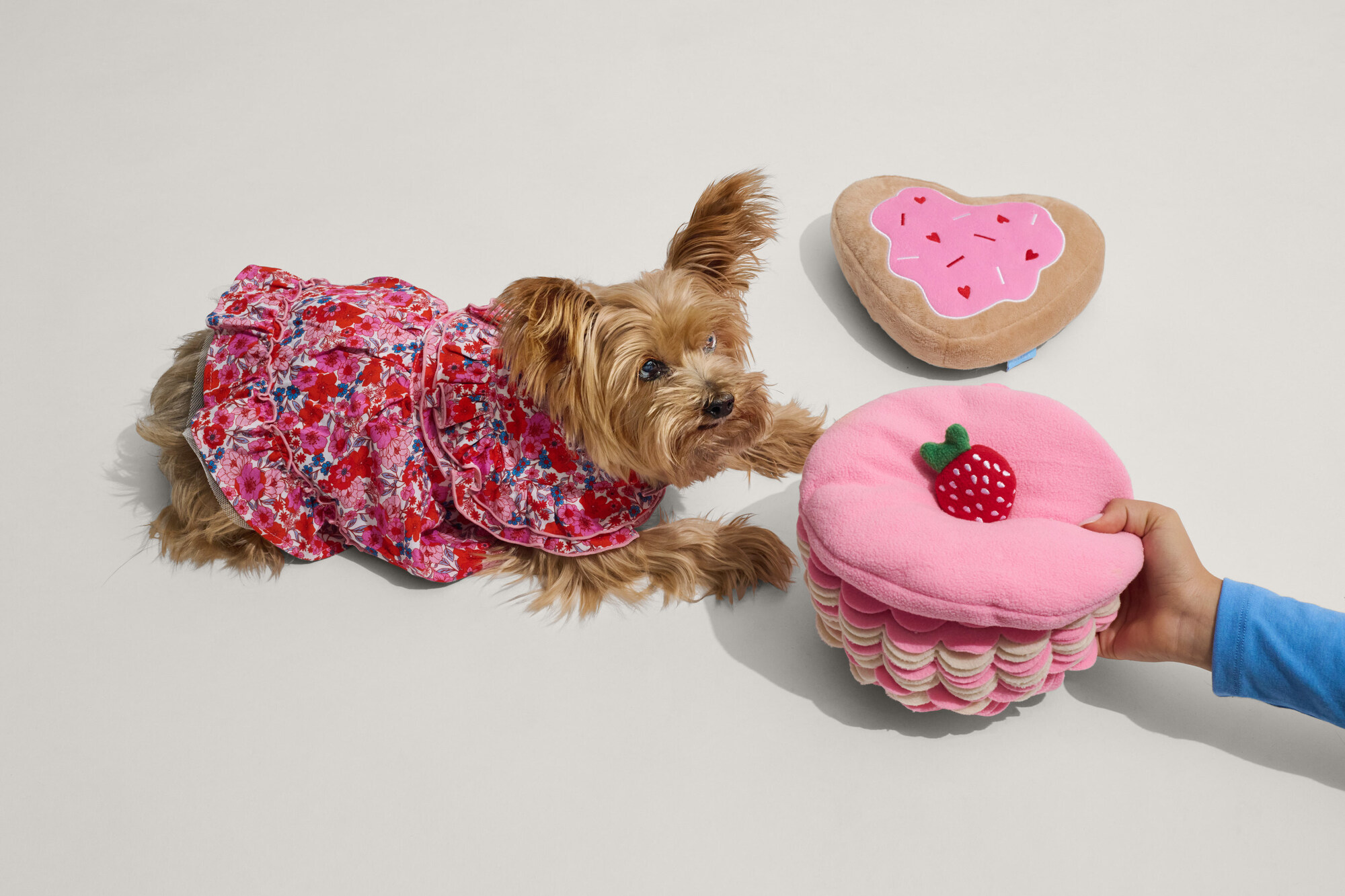 pet-coded-marketing-tu-mascot-pet-influencer-den-ip-collaboration-thuong-hieu-dang-dung-thu-cung-nhu-the-nao-petco-3 (1).jpg