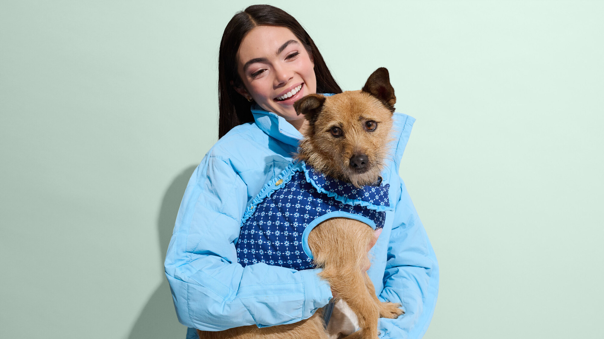 pet-coded-marketing-tu-mascot-pet-influencer-den-ip-collaboration-thuong-hieu-dang-dung-thu-cung-nhu-the-nao-petco-4 (1).jpg