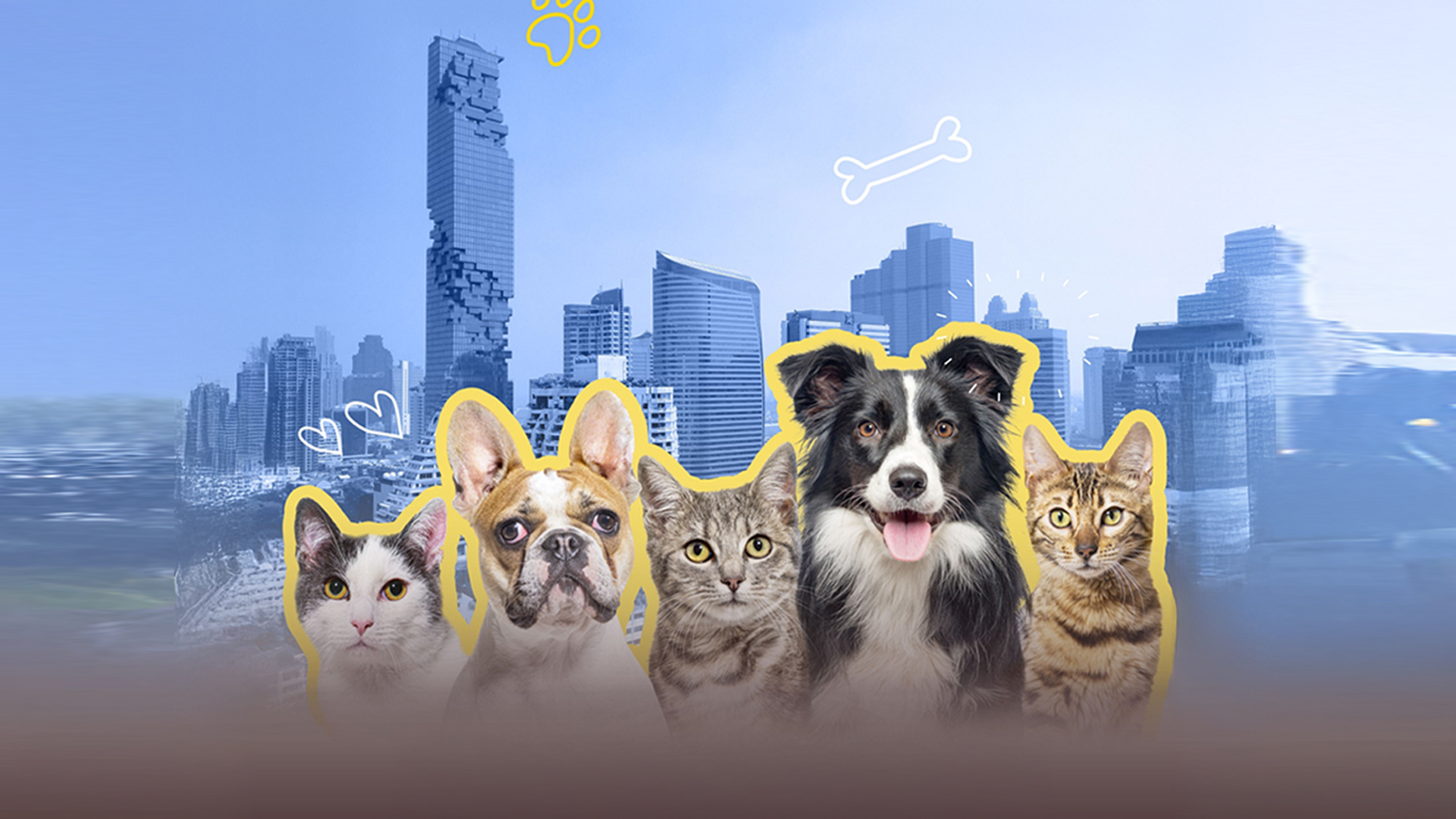 pet-coded-marketing-tu-mascot-pet-influencer-den-ip-collaboration-thuong-hieu-dang-dung-thu-cung-nhu-the-nao-1.jpg