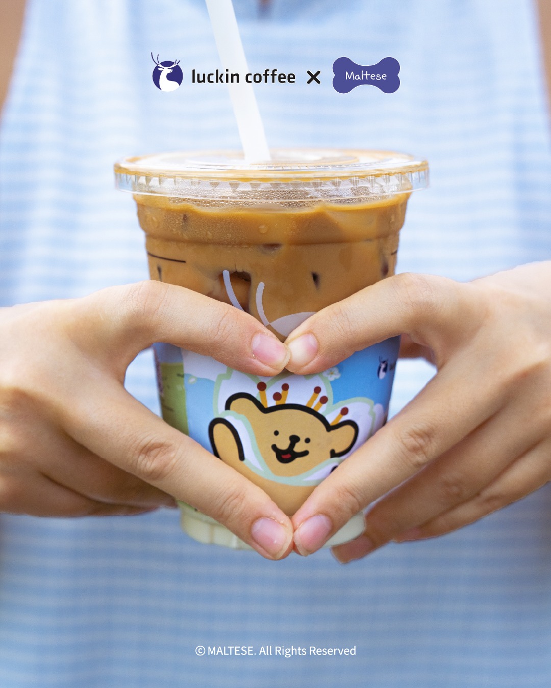 pet-coded-marketing-tu-mascot-pet-influencer-den-ip-collaboration-thuong-hieu-dang-dung-thu-cung-nhu-the-nao-luckin-coffee-maltese-2.jpg