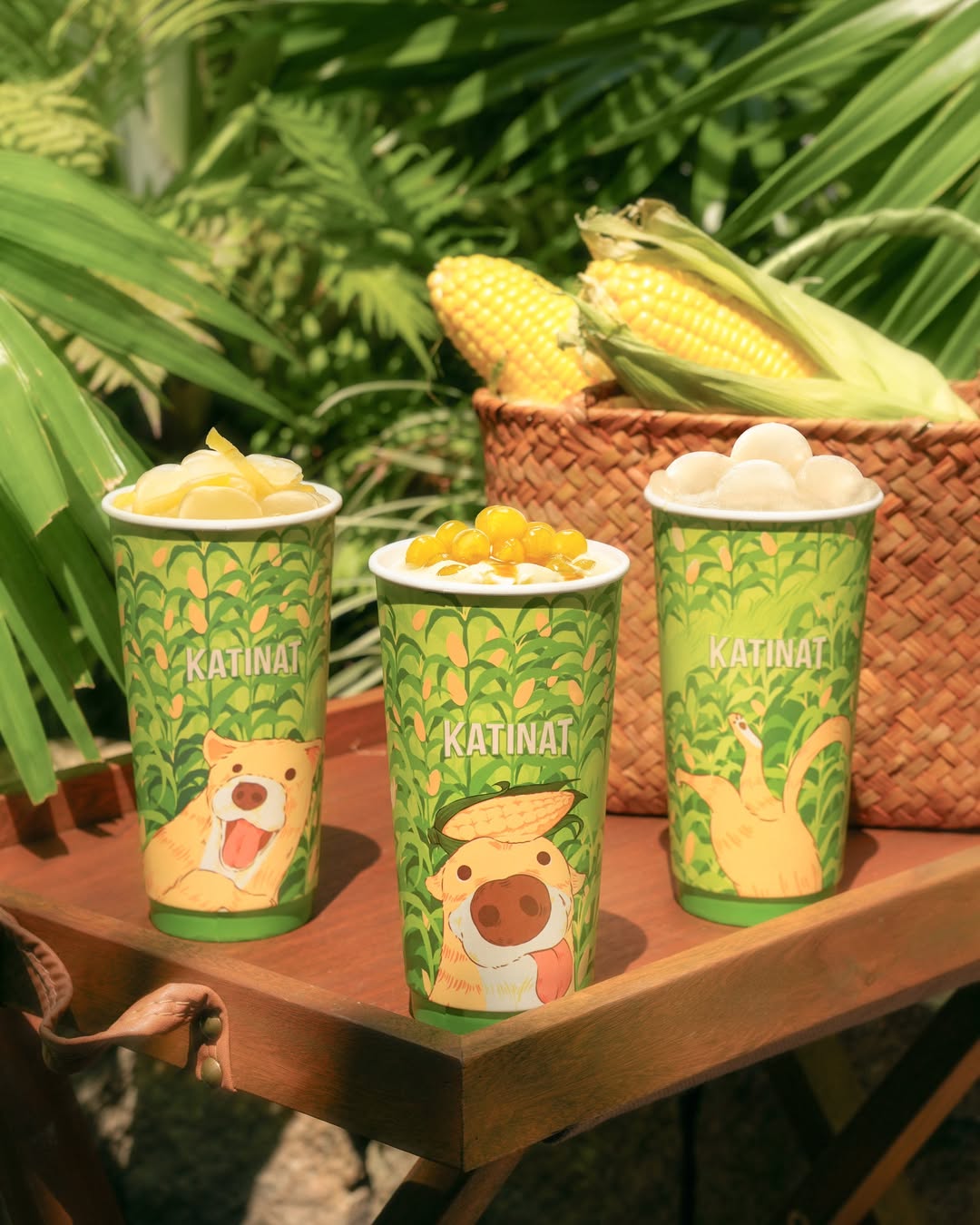 pet-coded-marketing-tu-mascot-pet-influencer-den-ip-collaboration-thuong-hieu-dang-dung-thu-cung-nhu-the-nao-katinat-ly-bắp-bi.jpg