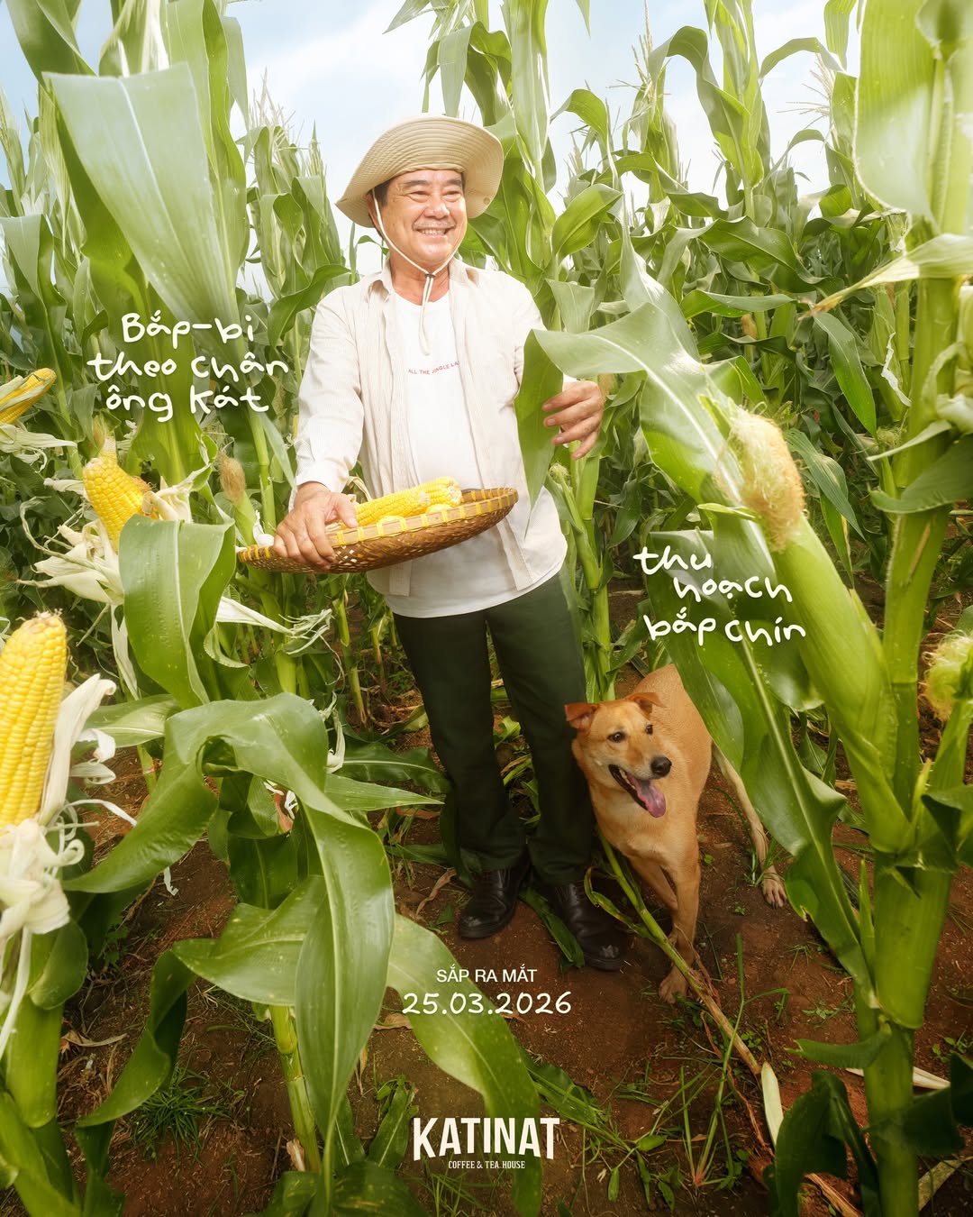 pet-coded-marketing-tu-mascot-pet-influencer-den-ip-collaboration-thuong-hieu-dang-dung-thu-cung-nhu-the-nao-katinat-ly-bắp-bi-2.jpg