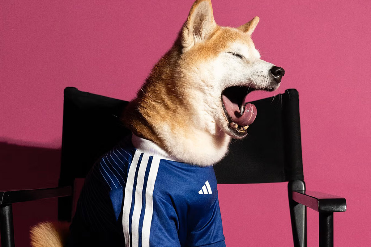 Photo-Story-adidas-world-cup-2026-jersey-pet-collection-SPACEBAR-Photo01.jpg