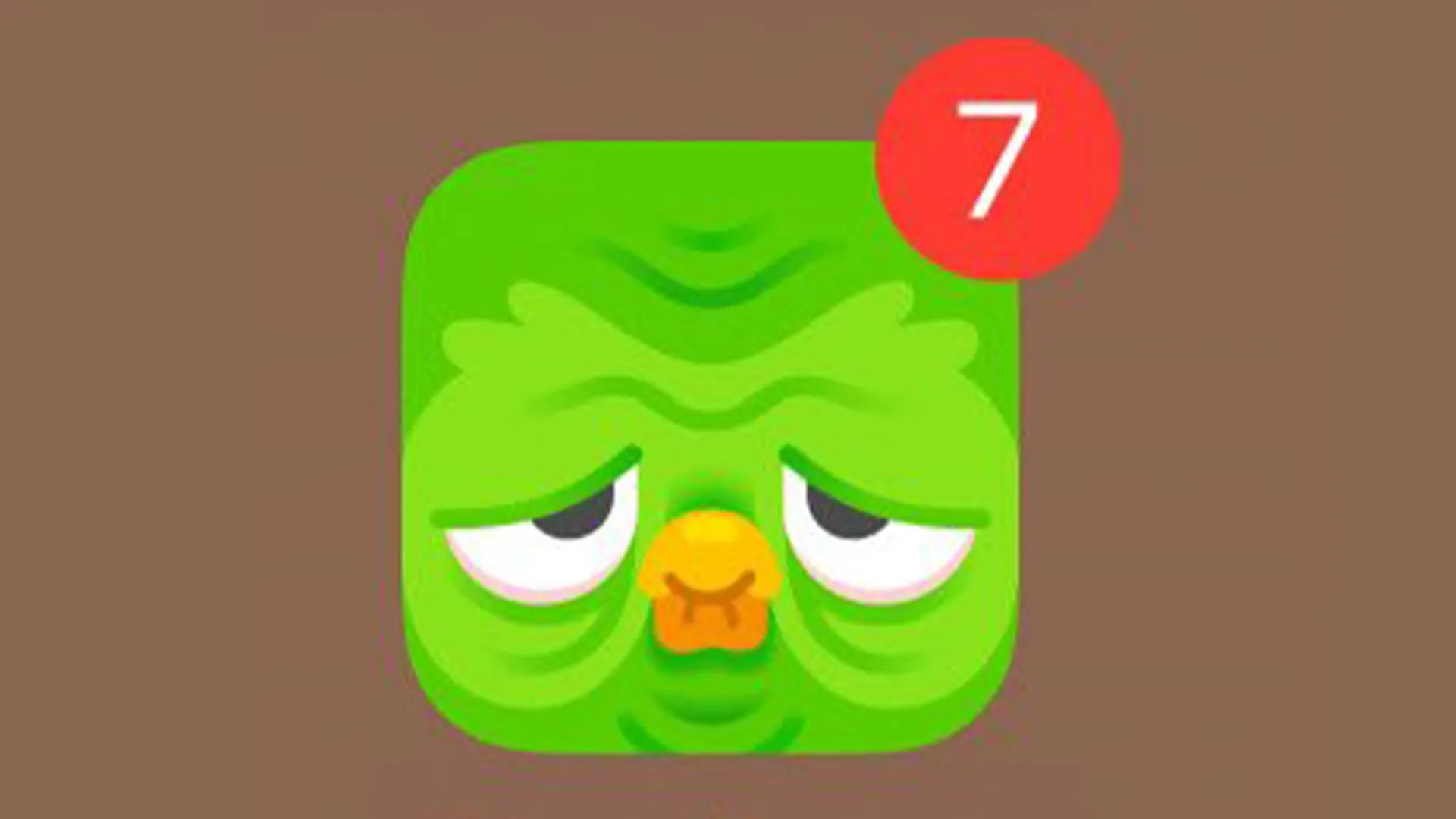 lb-duolingo-OP.webp