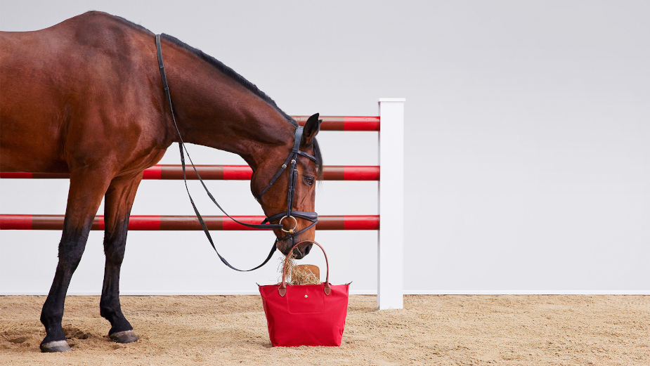 longchamp-le-pliage-tui-gap-bieu-tuong-thuong-hieu-advn.png