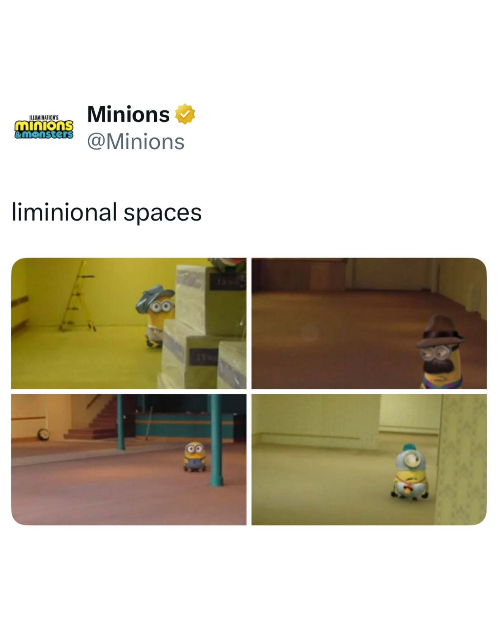 716490372_1294986832786253_8308320070229688296_n (1).jpg