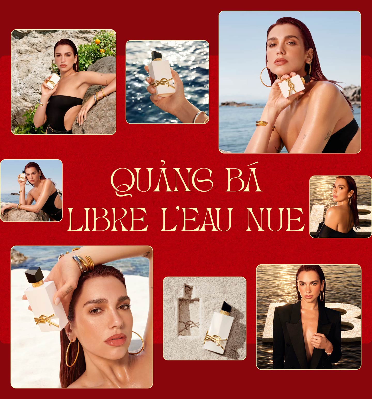 HINH_SHOWCASE 4.jpg