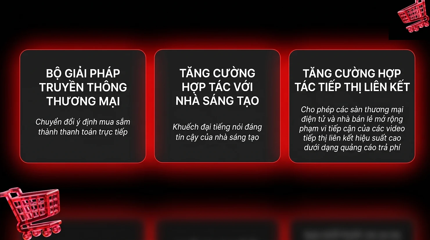 Các công cụ quảng cáo tối ưu, giúp rút ngắn lộ trình từ khâu khám phá sản phẩm đến bước thanh toán cuối cùng.webp