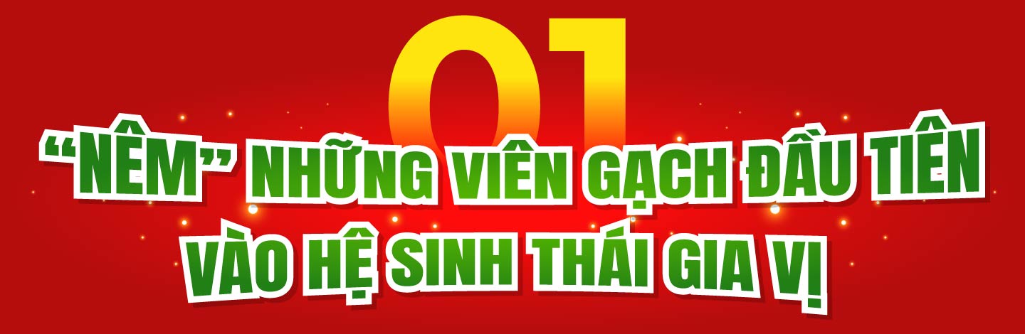 HINH_HEADING 1.jpg