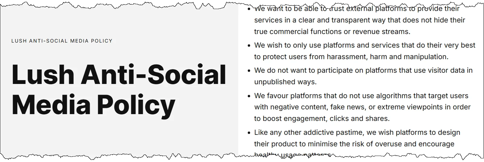 lushantisocialmediapolicy-20250208.webp