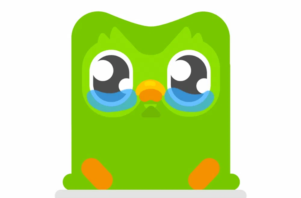 duolingo_2.webp