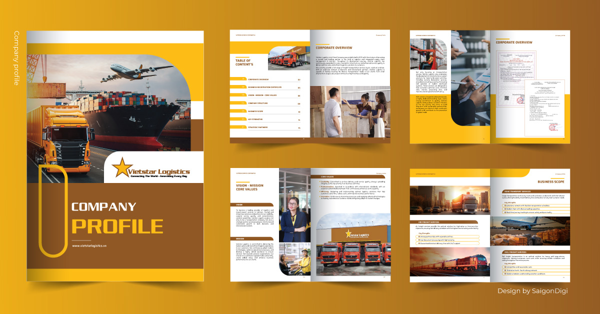 mẫu hồ sơ năng lực logistics Vietstar.jpg