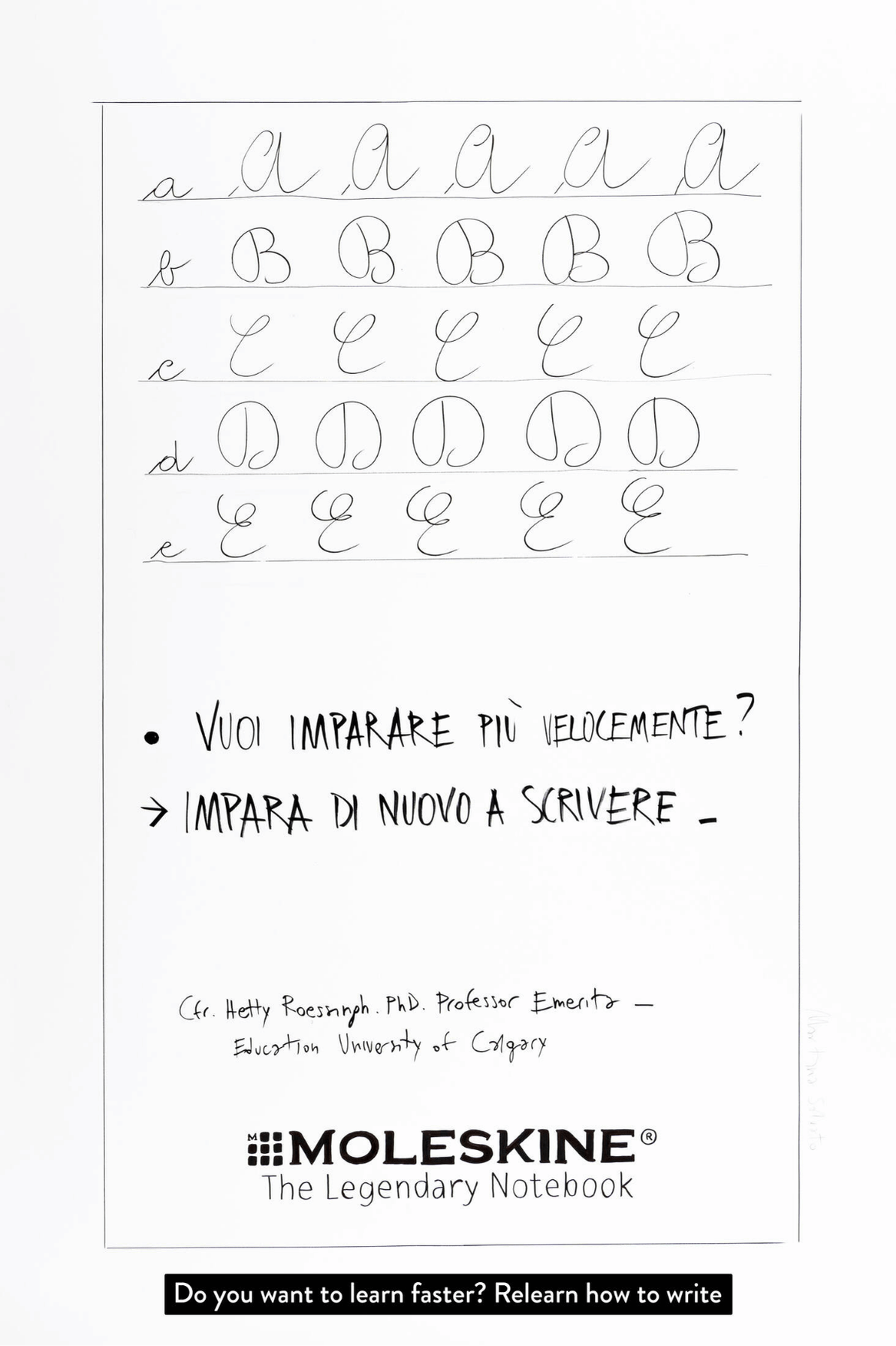 Untitled design (19).png