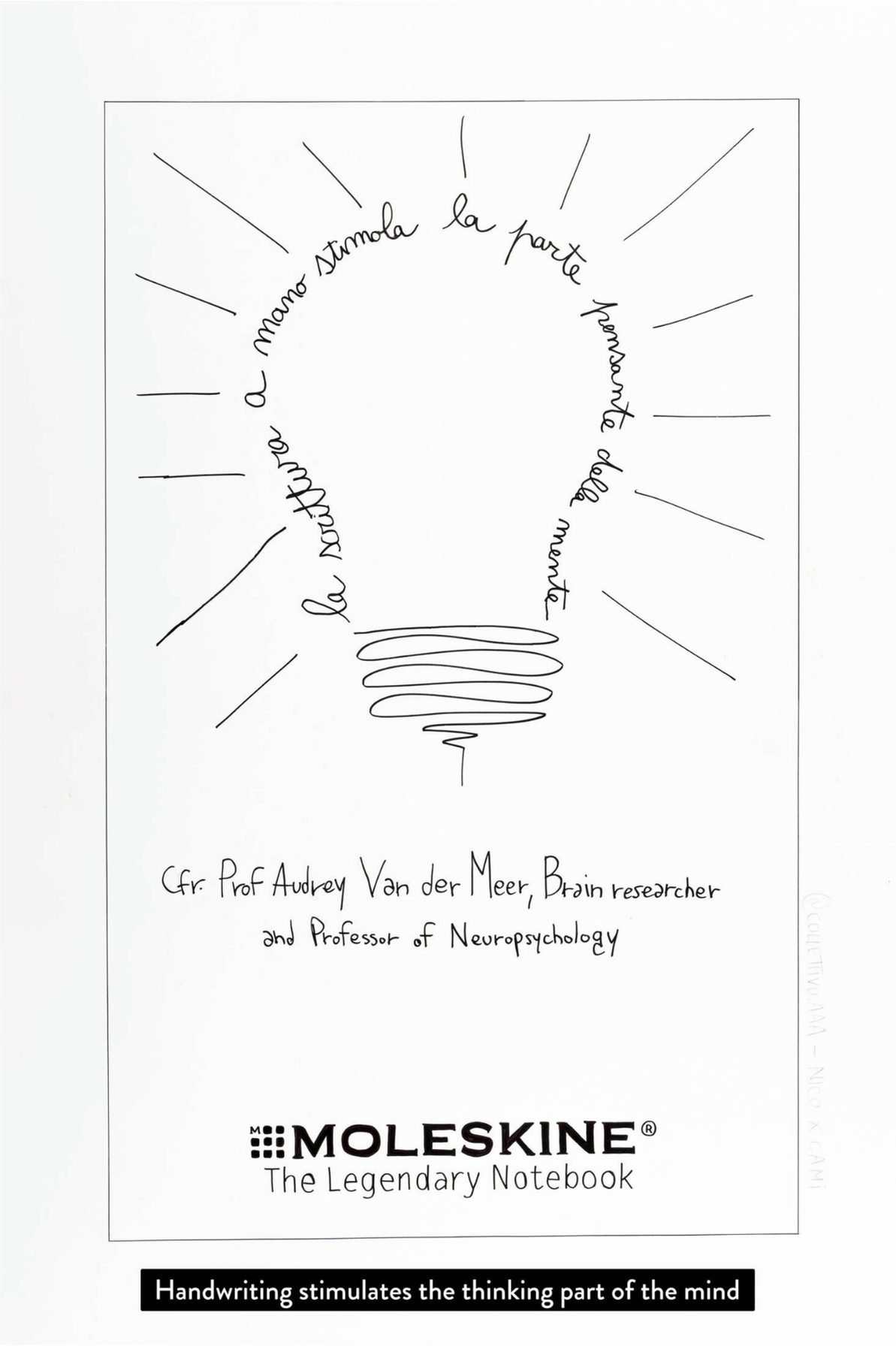 Untitled design (14).png