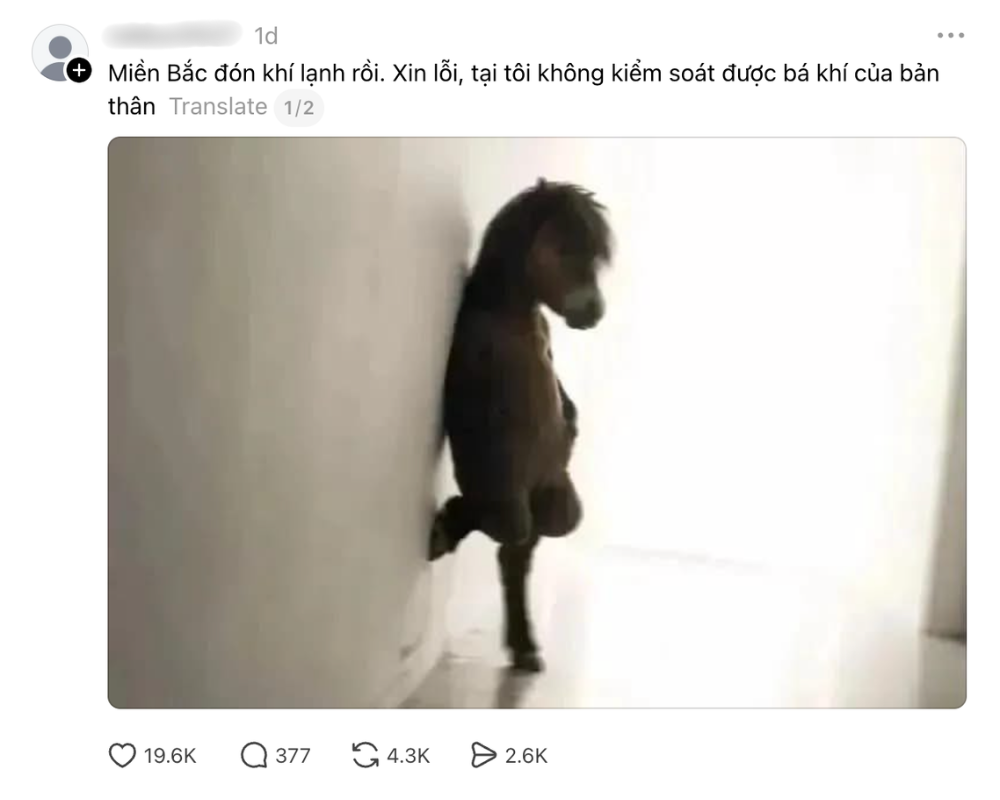 xdc.png