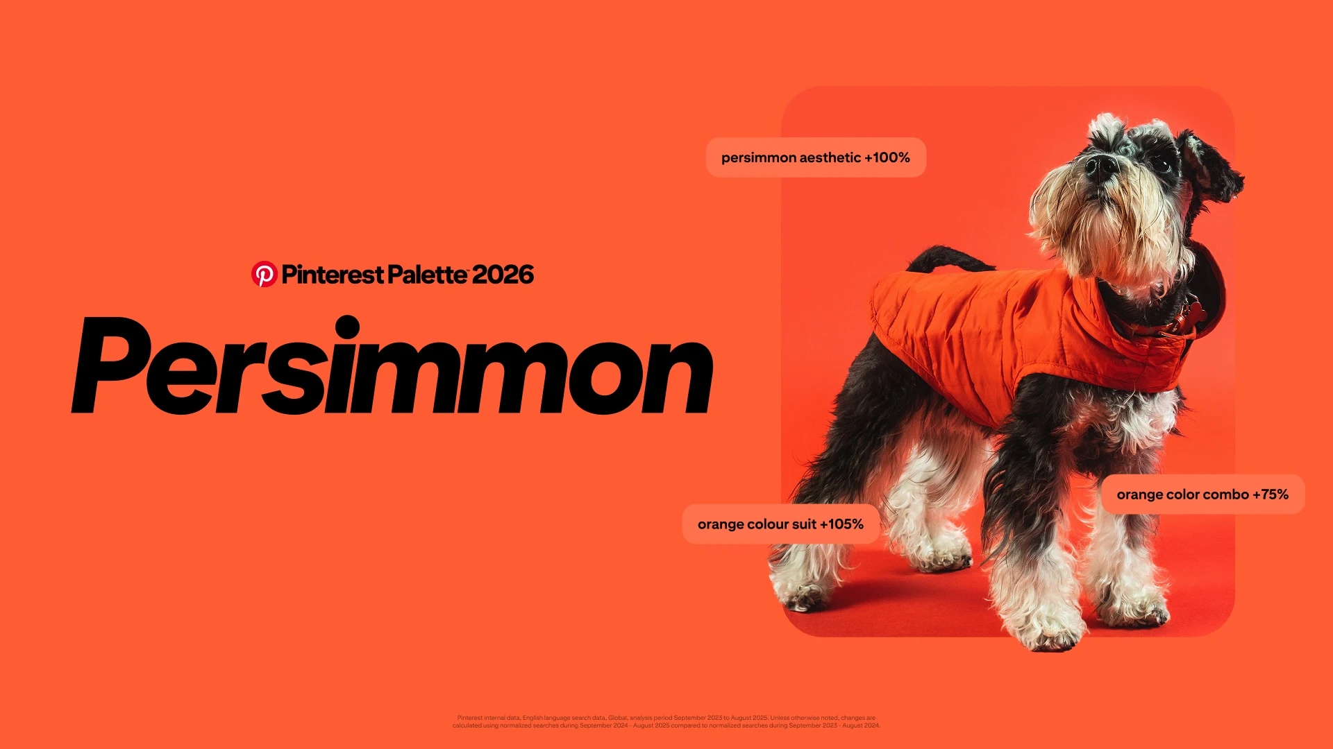 Persimmon-Hero-Art.webp