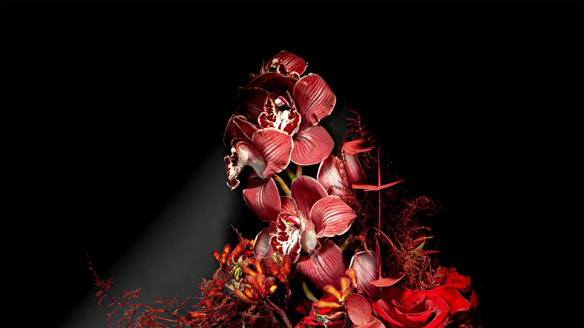 flwers (1).jpg