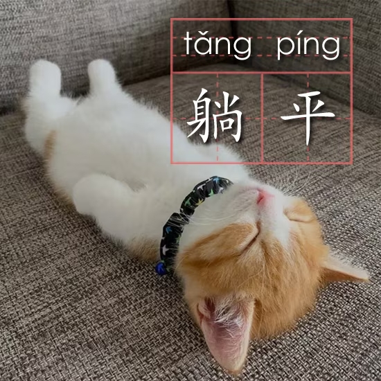 8a6c1519b2e5c4594dbccfc6a7fab53b.jpg
