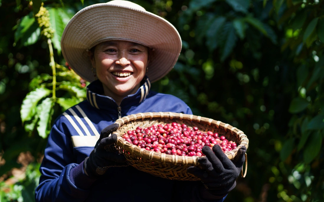 nguoi-nong-dan-trong-ca-phe-tham-gia-vao-chuong-trinh-nescafe-plan-hinh-3-1685922230720991551410-11-0-1261-2000-crop-1685922246327590011277.webp