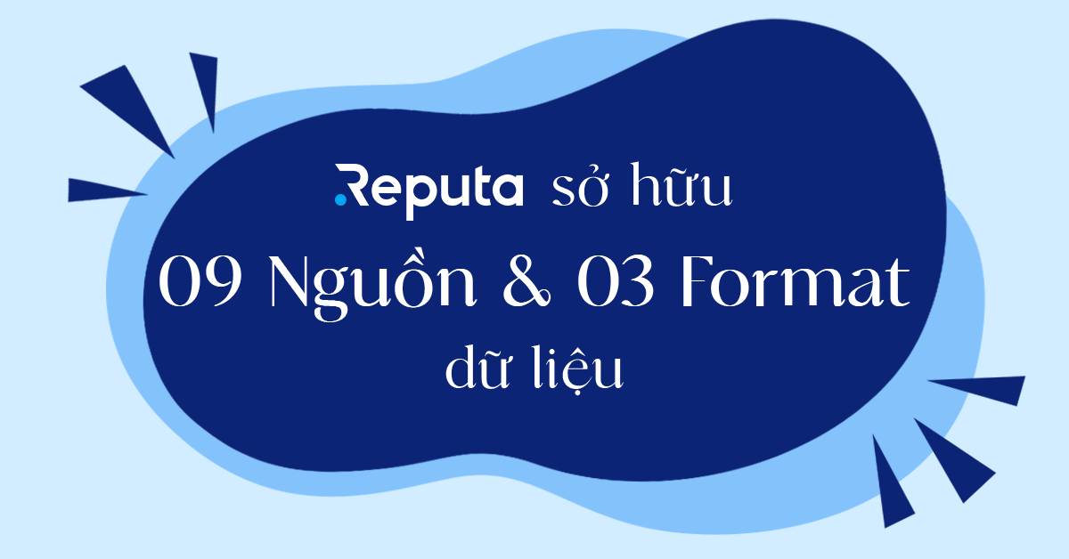 Reputa sở hữu 09 nguồn dữ liệu được thể hiện dưới 03 format phổ biến nhất hiện nay